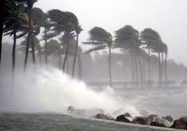 <p>describe turbulent emotions or situations.<br></p>