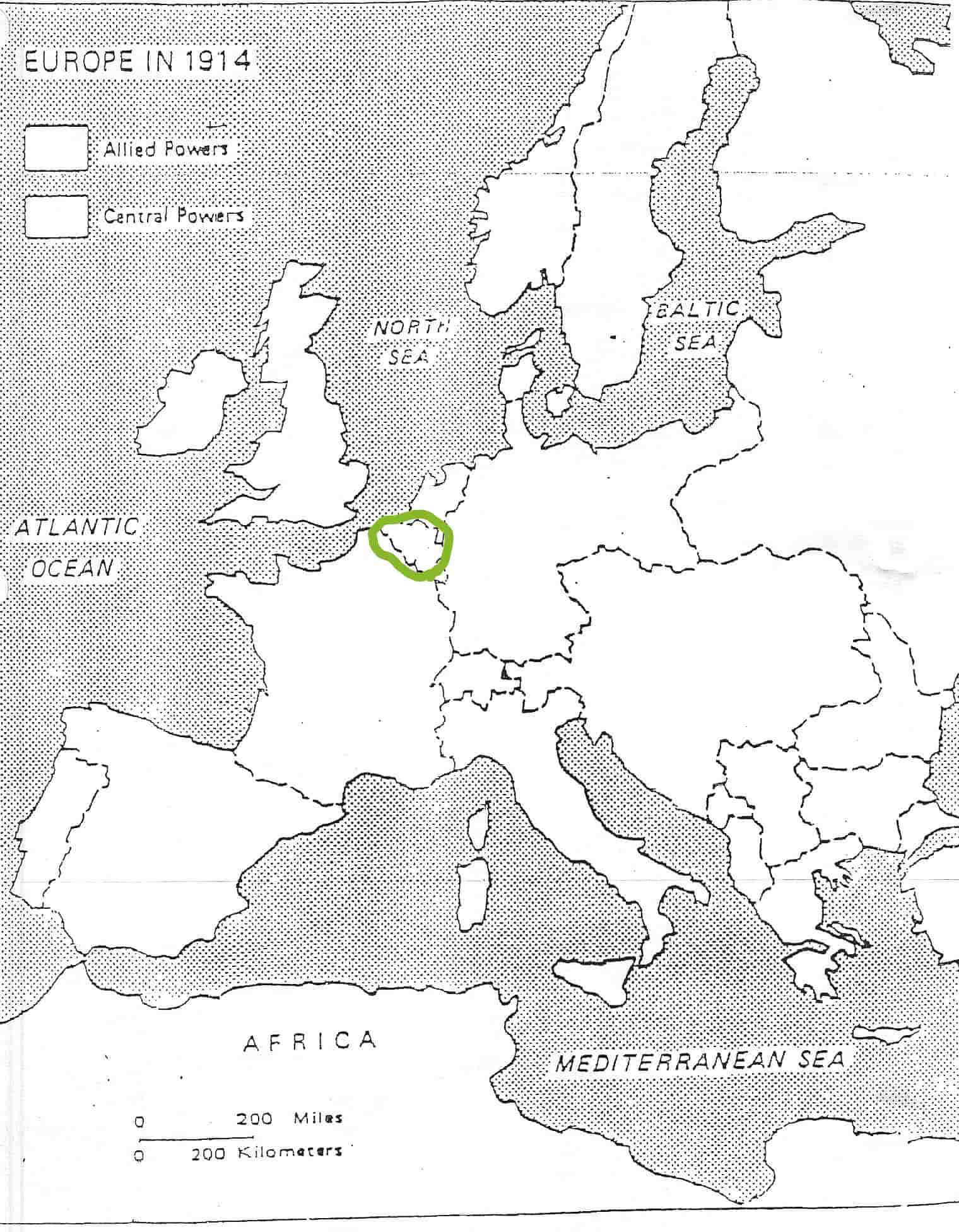 term image