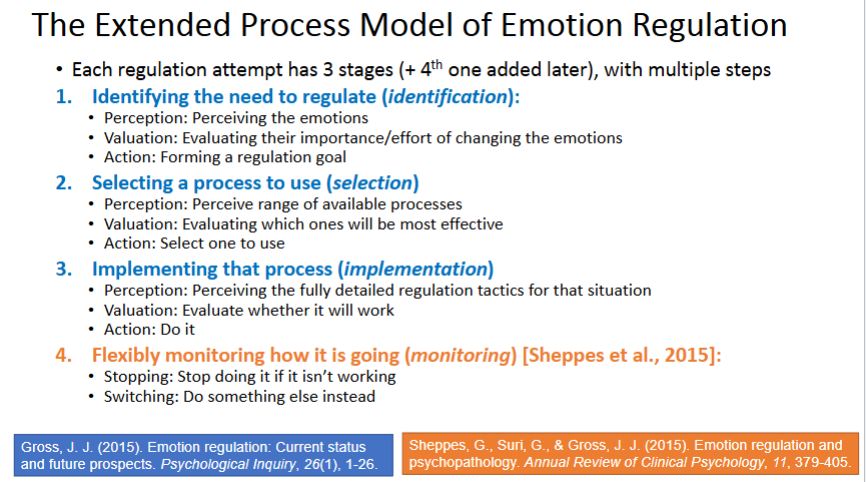 <p>Identification → selection → implementation → monitoring</p>