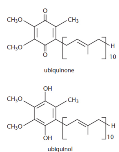 <p>biologically active quinone; vital electron carrier associated with Complexes I, II, and III of the electron transport chain</p><p>reduced to ubiquinol upon the acceptance of electrons</p>