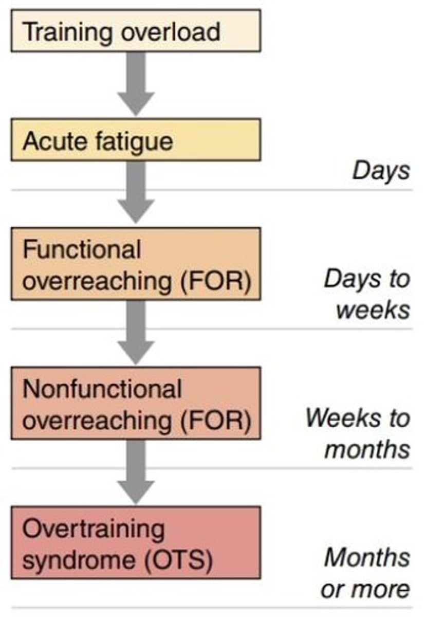 <p>Excessive training leading to short-term decrements in performance, recoverable in a few days or weeks.</p>