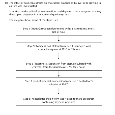 <p>(i) Explain why the scientists used digested soybeans to make the extract for this&nbsp;investigation. (2)</p><p>(ii) Suggest why the soybean flour was incubated with different enzymes in steps&nbsp;2&nbsp;and&nbsp;3. (1)</p><p>(iii) Explain why the soybean flour and enzymes were incubated at 37 °C for 2&nbsp;hours in steps&nbsp;2&nbsp;and 3. (2)</p>