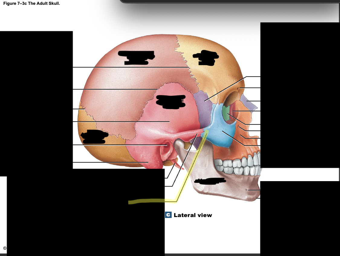 <p>What is the structure?</p>
