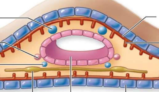 <p>what is number 8?</p>