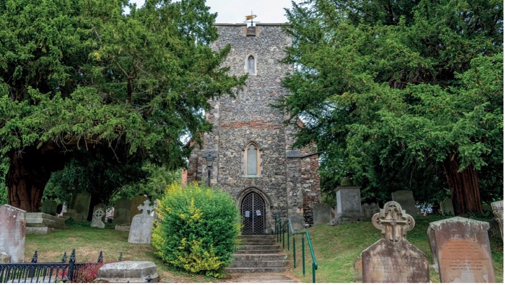term image