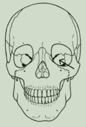 <img src="https://knowt-user-attachments.s3.amazonaws.com/fe158c1d-5322-4cdd-9902-1fdc36ed0a55.png" data-width="25%" data-align="center"><p></p>