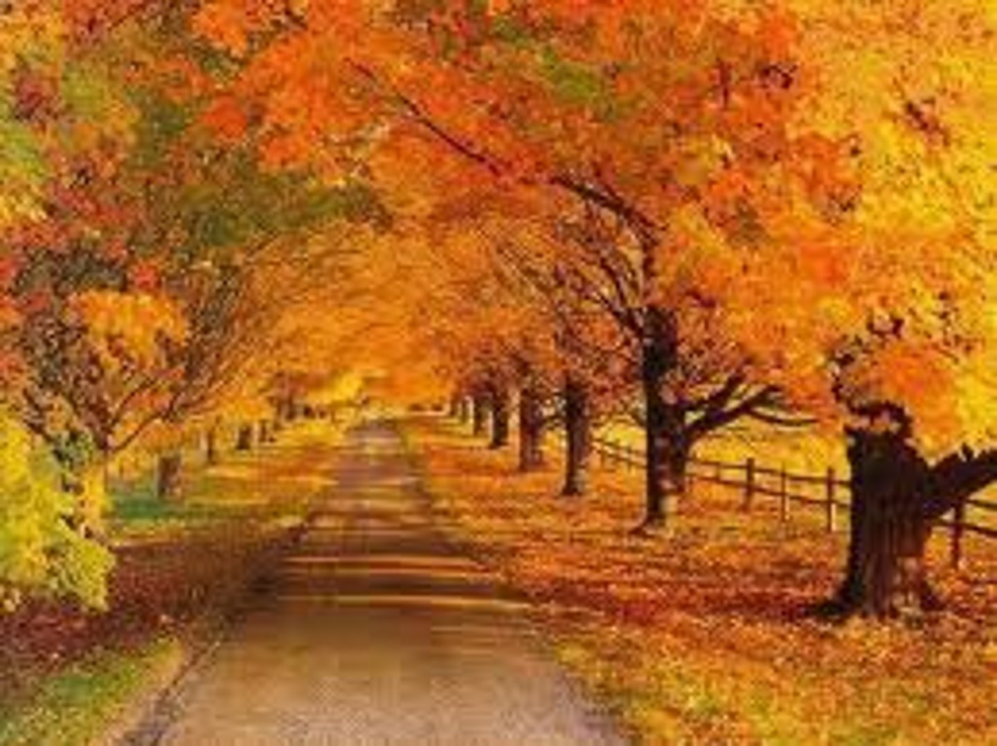 <p>qiū tiān - autumn</p>
