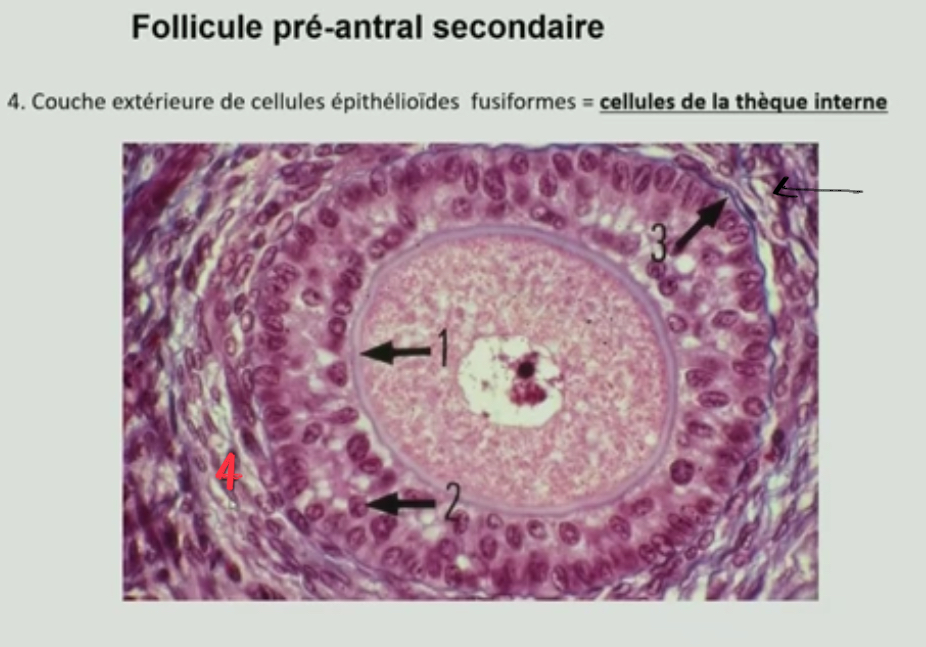 <p>À quoi correspond les numéro ?</p>