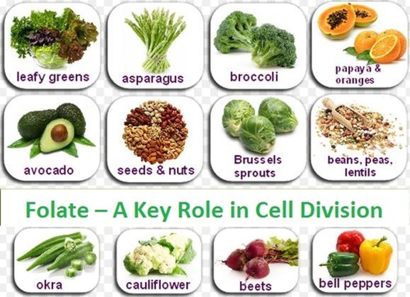 <p>Most foods / Green plants</p><p>1) Dark leafy vegetables</p><p>2) Mushrooms</p><p>3) Liver</p><p>4) Legumes</p><p>5) Enriched grains/cereal</p>