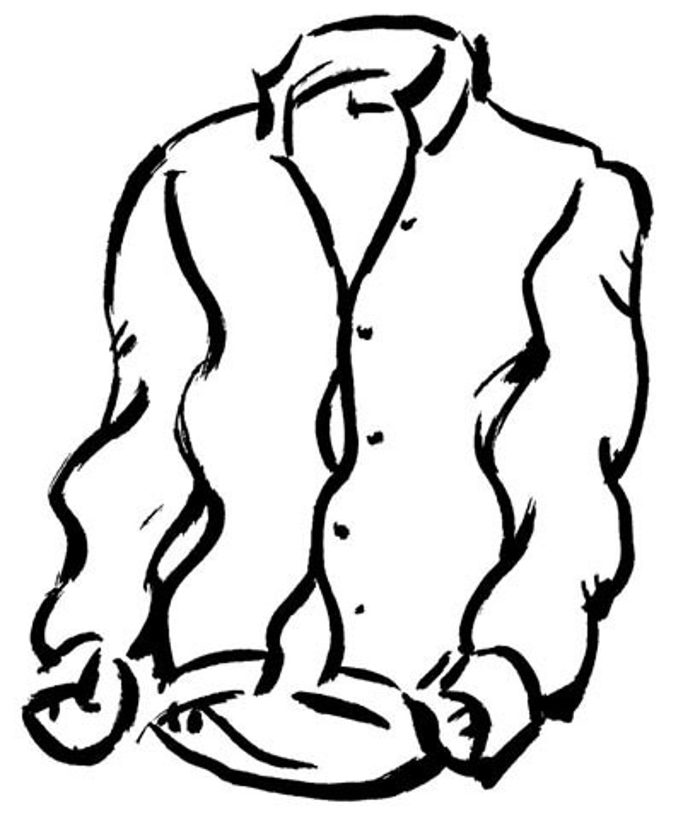 <p>(the) blouse</p>