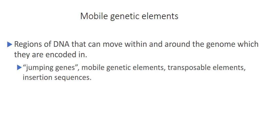 <p>These are different types elements that transfer information. As genomes are sequenced and annotated, it is apparent that they are rife with genetic elements that move within and between genomes. These elements are referred to as &quot;jumping genes,&quot; mobile genetic elements, or transposable elements. -Transposition refers to the movement of a mobile genetic element.</p>