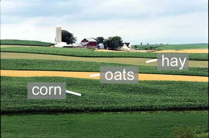 <p>Influenced by factors such as industrialization; mechanization; fossil fuel use; seed, crop and livestock choices; water use; fertilizers; pest control; pollinators; antibiotics; legislation; and levels of commercial versus subsistence food production.</p>