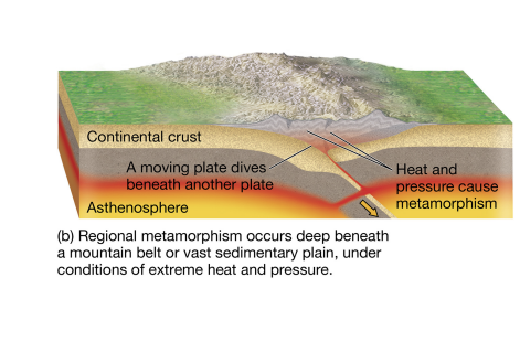 <p><strong>regional metamorphism</strong></p>