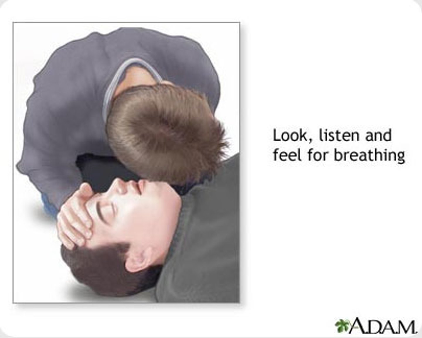 <p>movement or breathing</p>