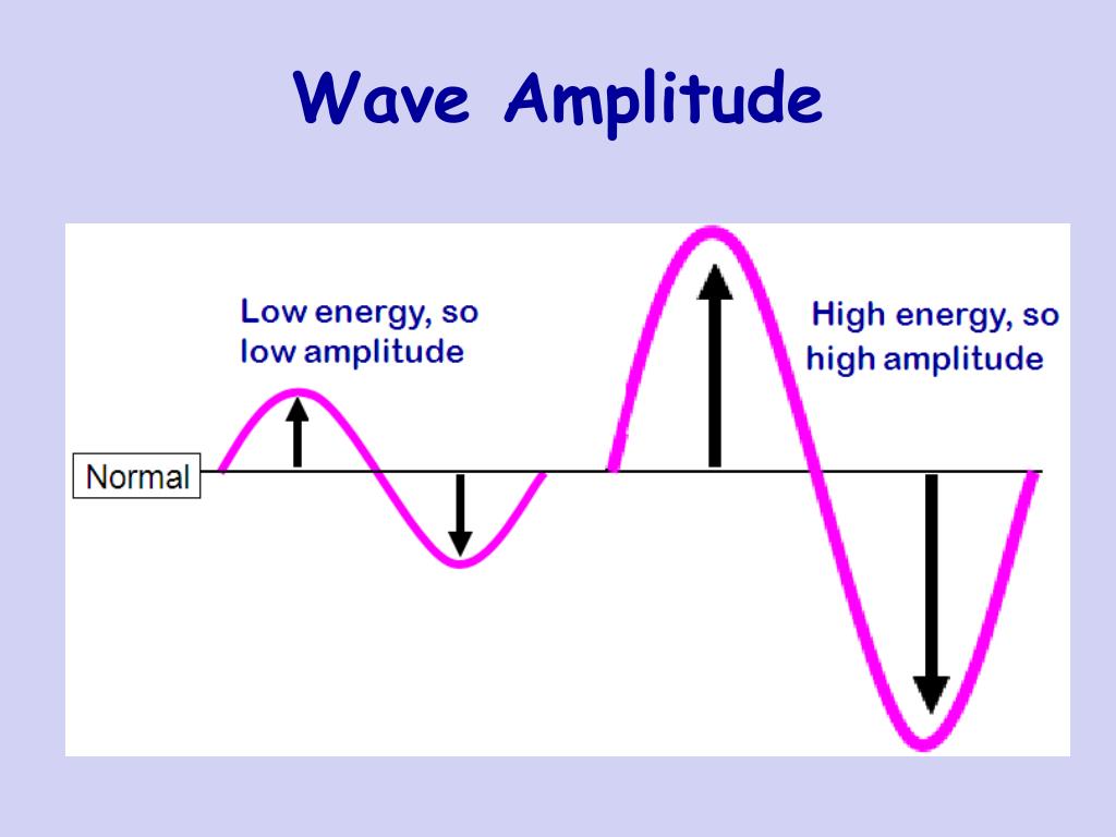 <p>Half of wave height; calm sea level to crest or trough </p>
