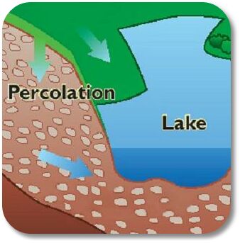 <p>movement of water through porous material</p>