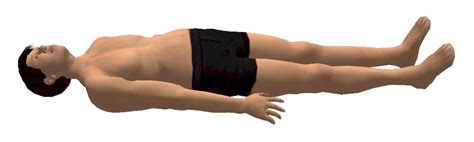 <p>Supine position</p>