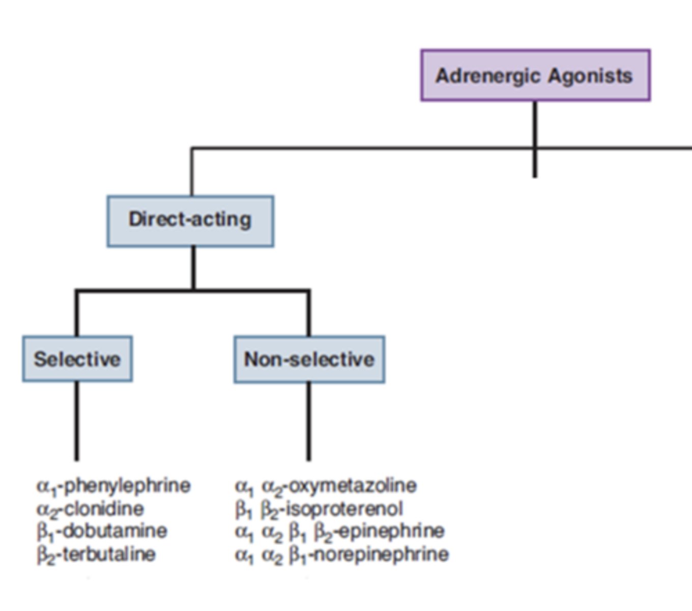 <p>selective or non-selective</p>