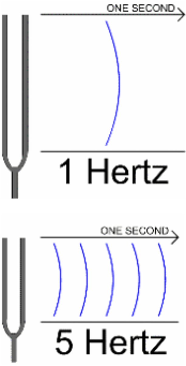 <p>The unit of frequency, equal to one cycle per second. Used to measure the speed of a CPU</p>