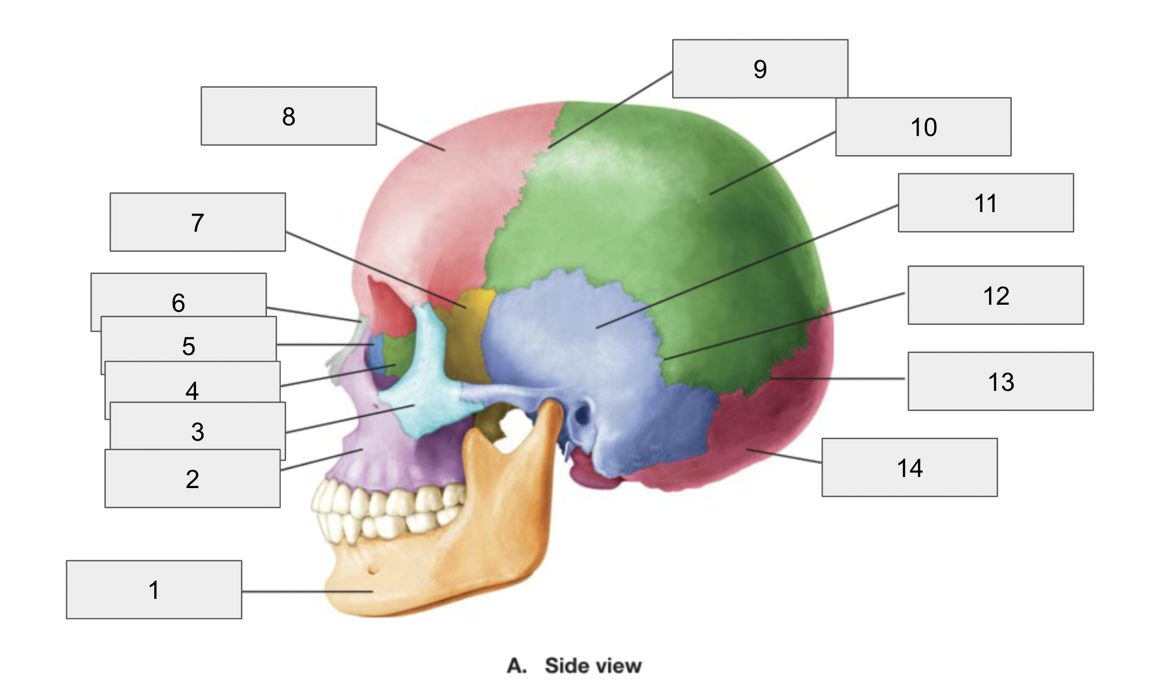 <p>9</p>