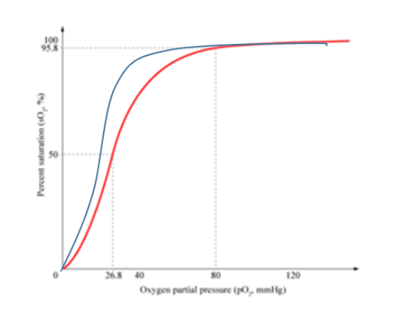 <p>Hemoglobin will have a HIGHER AFFINITY for O2 at <strong>LOW PO2</strong></p><p></p><p>Hemoglobin will have a LOWER AFFINITY for O2 at <strong>HIGH PO2</strong></p><p></p><p>Lowering the Hb’s affinity for O2 shifts the sigmoidal curve TO THE RIGHT </p>