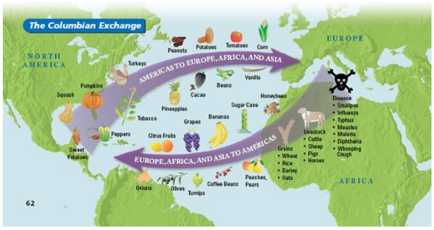 <p>As a consequence of the new European crops and livestock brought to America as part of the&nbsp;Colombian Exchange illustrated above?</p>