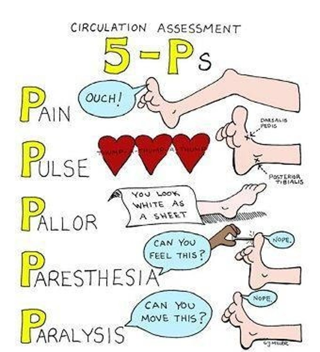<p>1. Pallor (Pale; dt arterial occlusion)</p><p>2. Polar (Cold; dt arterial occlusion)</p><p>3. Pulselessness (Diminished; dt arterial occlusion)</p><p>4. Paraesthesia ('Pins &amp; Needles'; dt arterial occlusion)</p><p>5. Pain (Works with paraesthesia)</p><p>6. Paralysis (dt necrosis of tissue or gangrene)</p>