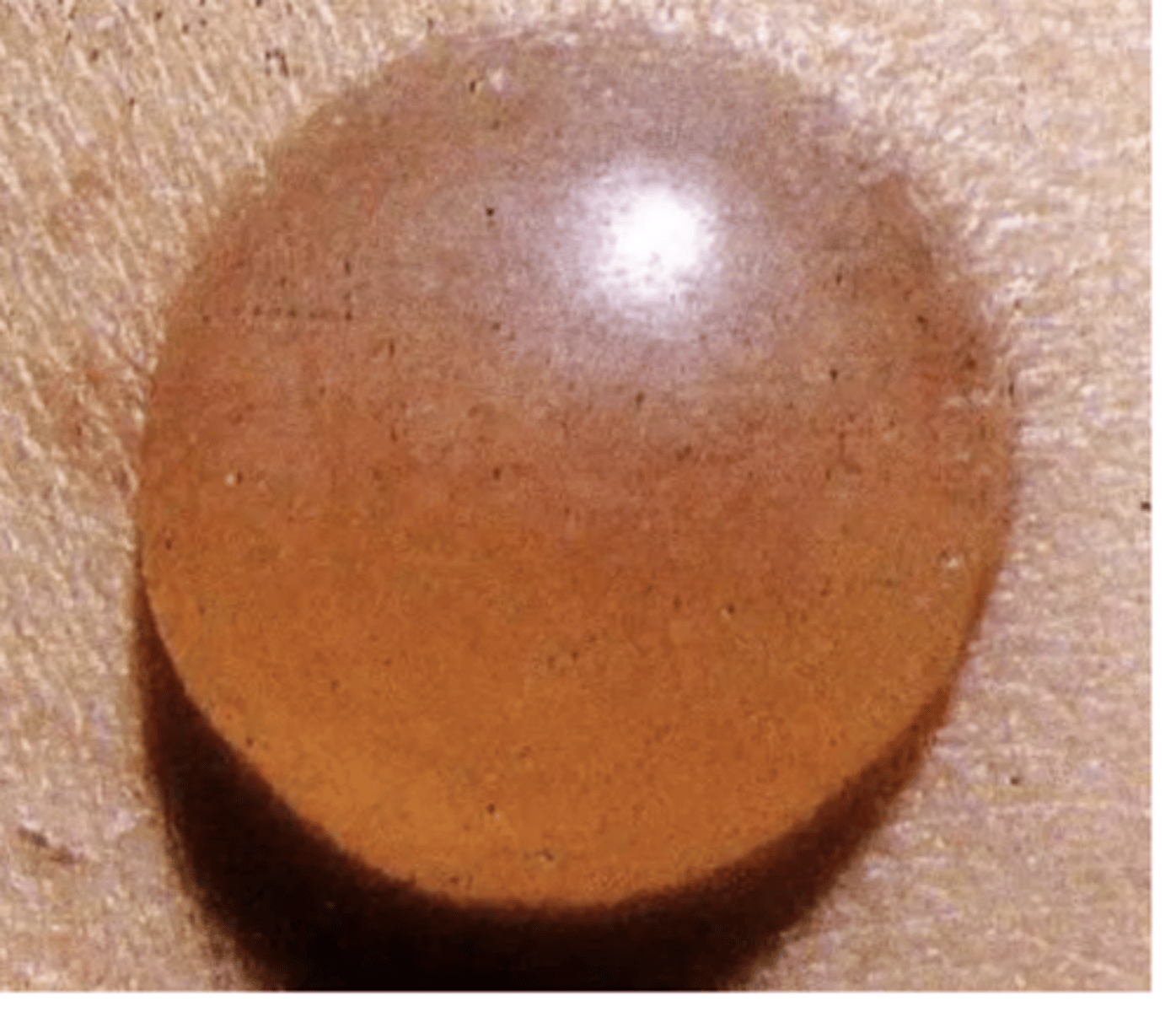 <p>what is this?</p>