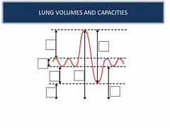 <p>labelled spirometer trace</p>