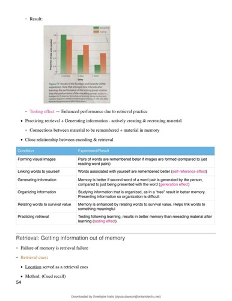 <p>Practice tests lead to better memory retention than rereading information.</p>