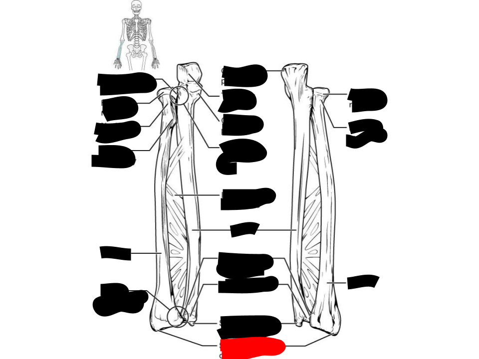 <p>radius</p>