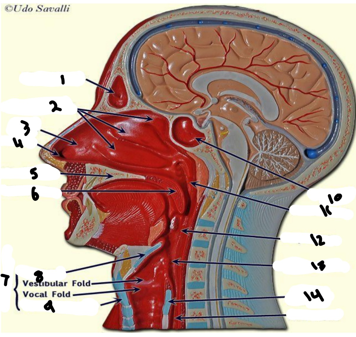 <p>2</p>