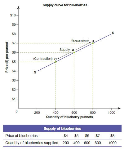 <p>Law of Supply</p>