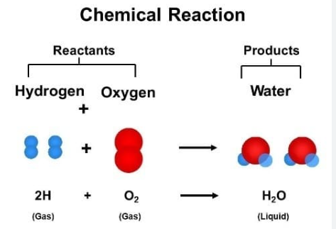 <p>Reactants: the substance/s that undergo a chemical reaction, substances before chemical reaction</p><p>Products: substances after chemical reaction</p>