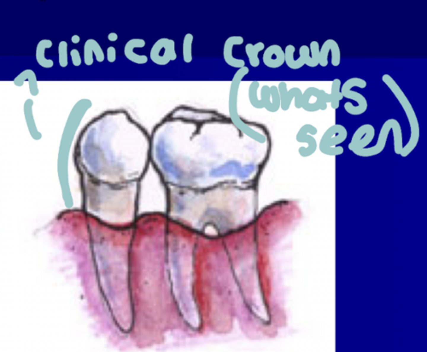 <p>Whats seen, everything</p>