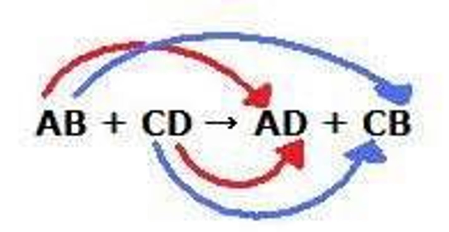 <p>a chemical change that involves an exchange of positive ions between two compounds</p>