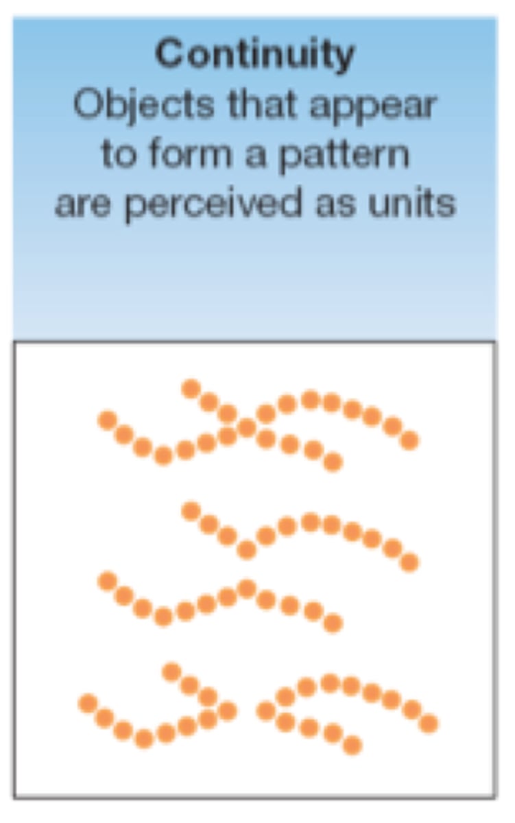 <p>Gestalt principle of perception that states that lines or patterns that follow a smooth contour are perceived as part of a single unit</p>