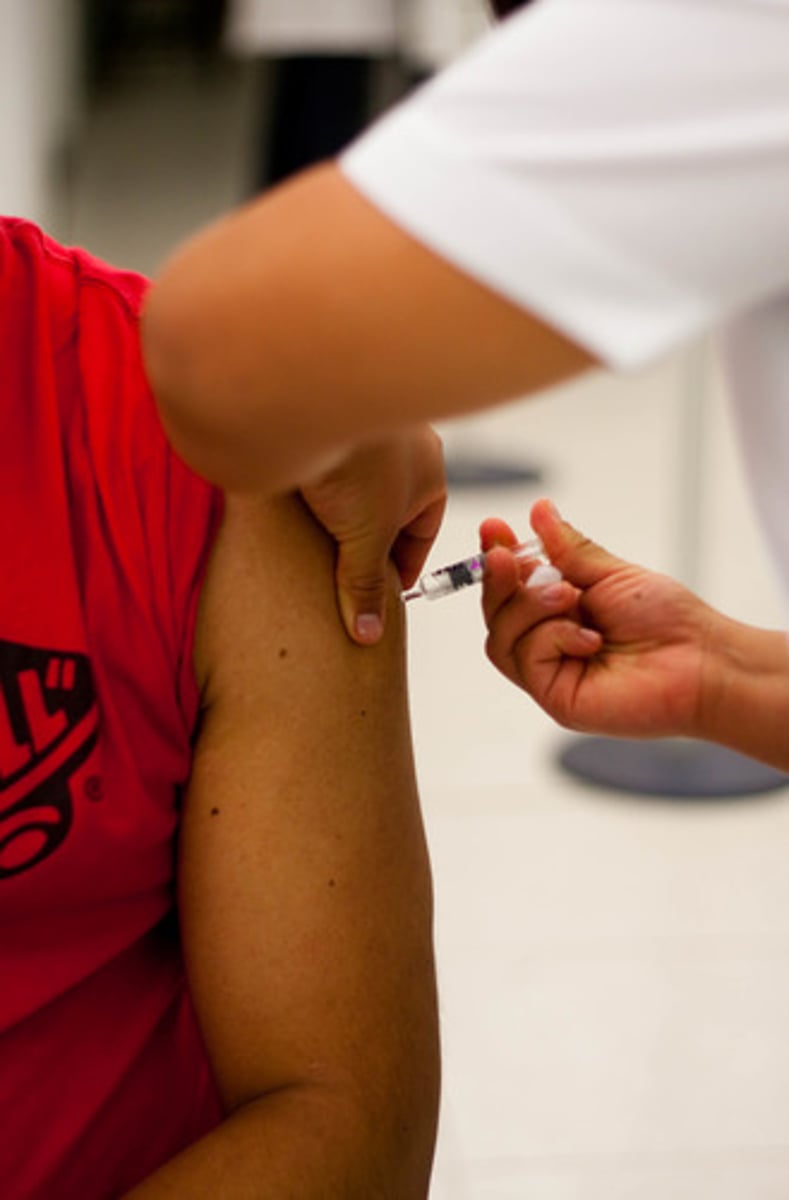 <p>to vaccinate</p>