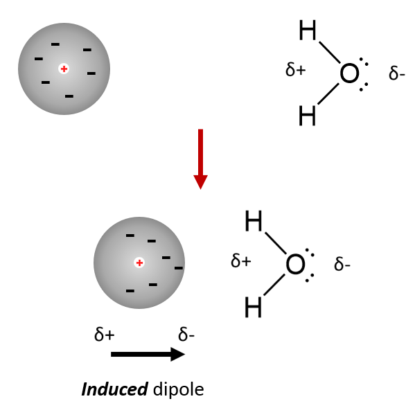 <ul><li><p><span><span>Molecules with a permanent dipole may temporarily distort the electric charge in a nearby molecule (polar or non-polar). </span></span></p></li><li><p><span><span>The extra attraction is between the permanent dipole and the ‘induced’ dipole on the nearby molecule.</span></span></p></li></ul><p></p>
