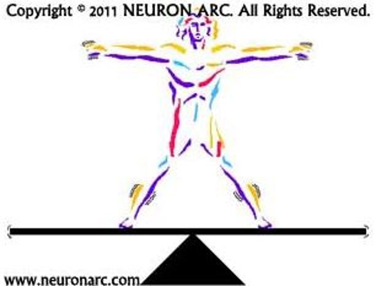 <p>the characteristic of life that the cell membrane helps the cell to achieve</p>