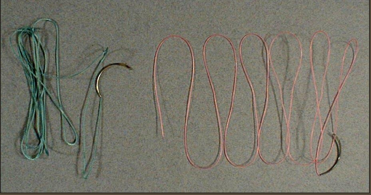 <p>what is this picture showing?</p>