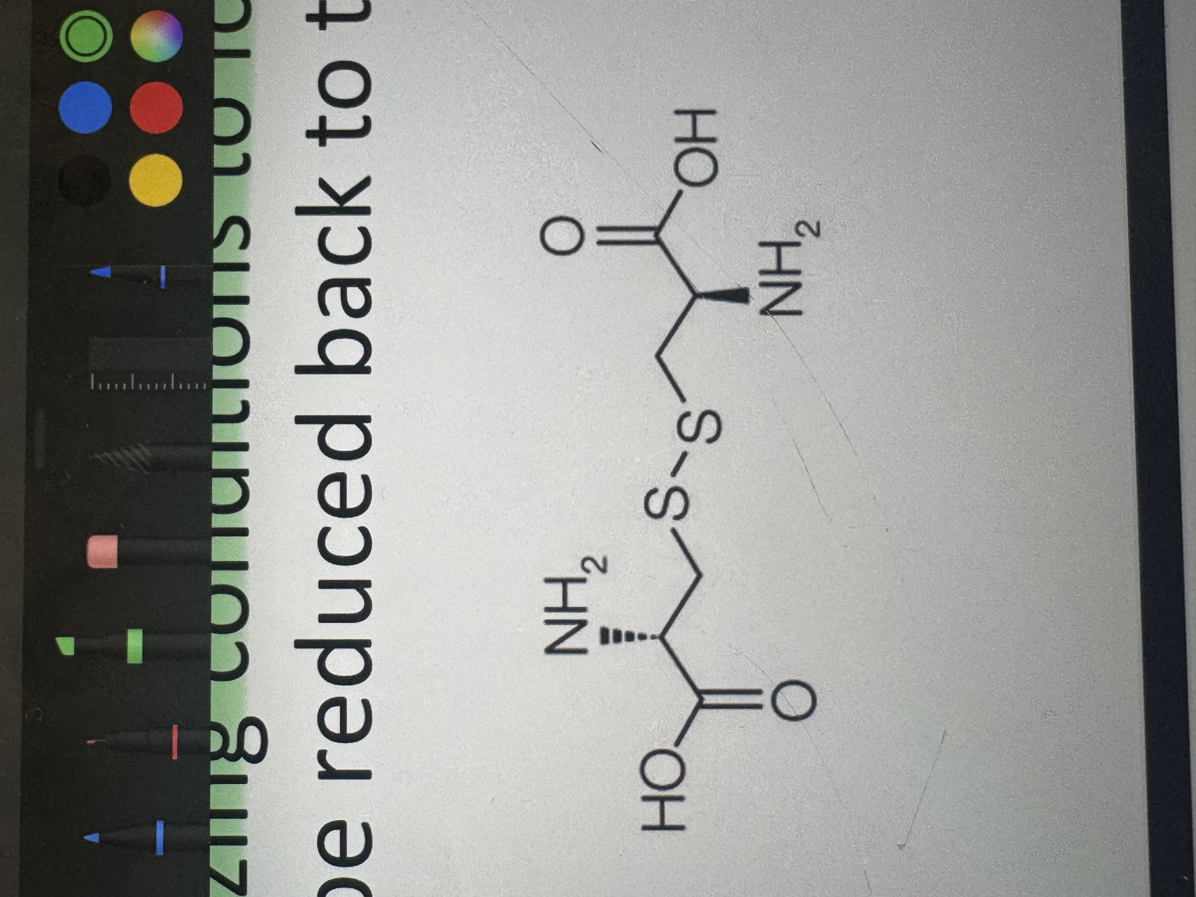 <p>a covalently-linked dimer from the oxidation of two cysteine molecules</p><p></p>