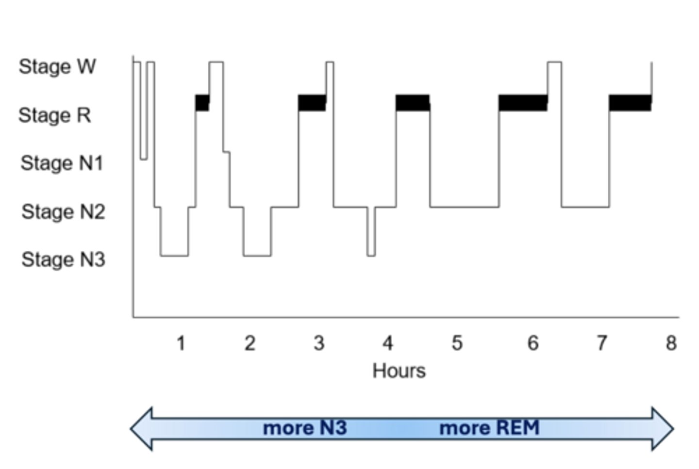 <p>W- wake</p><p>N1/N2- light sleep</p><p>N3- deep sleep</p><p>R- REM sleep stage</p>