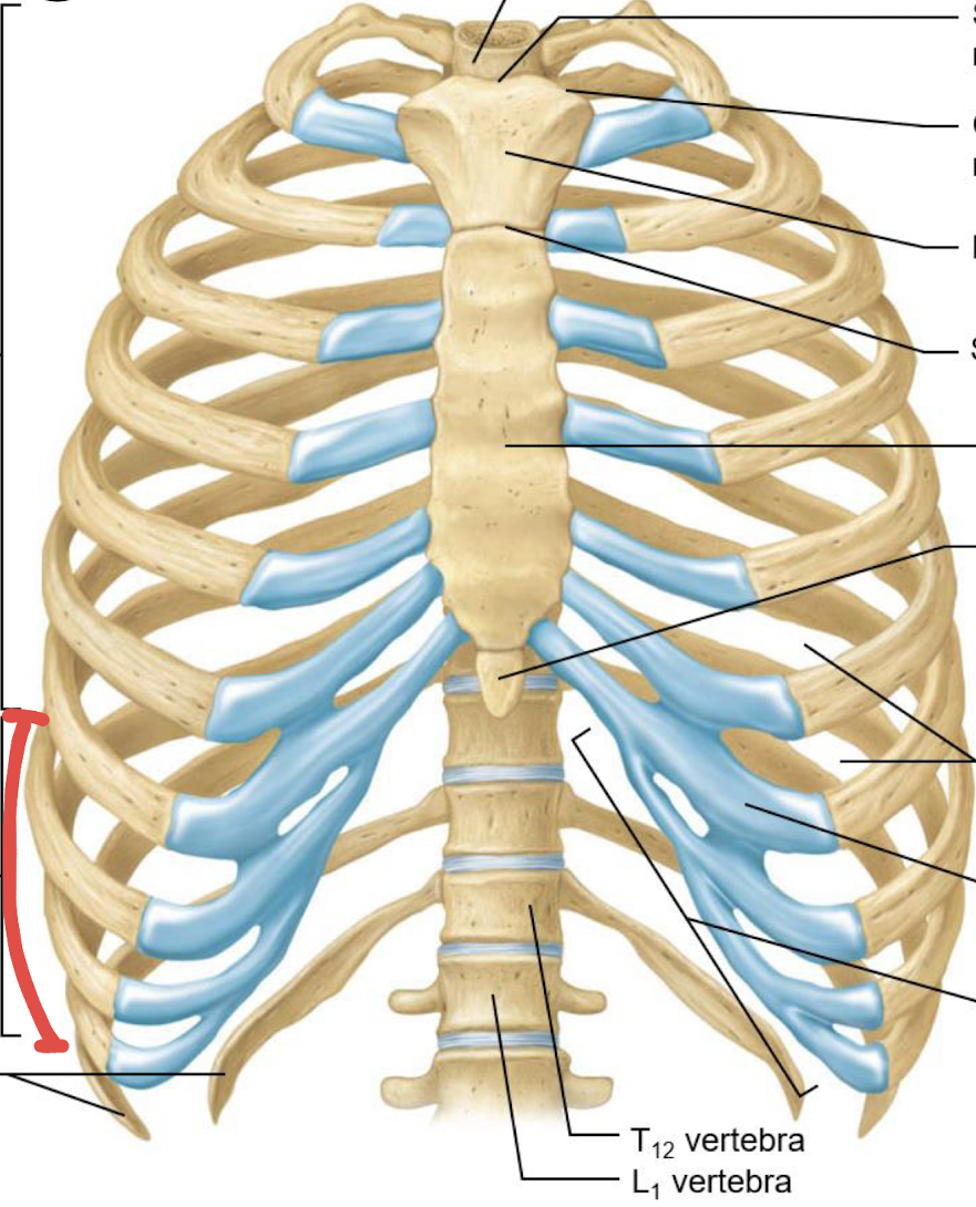 <p>what is this?</p>