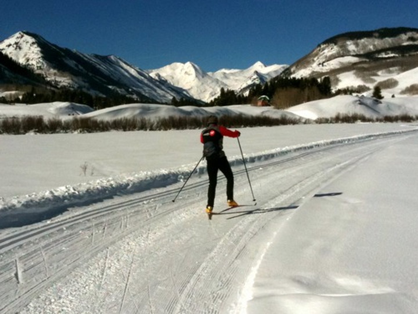<p>a sport in which participants must travel on skis</p>