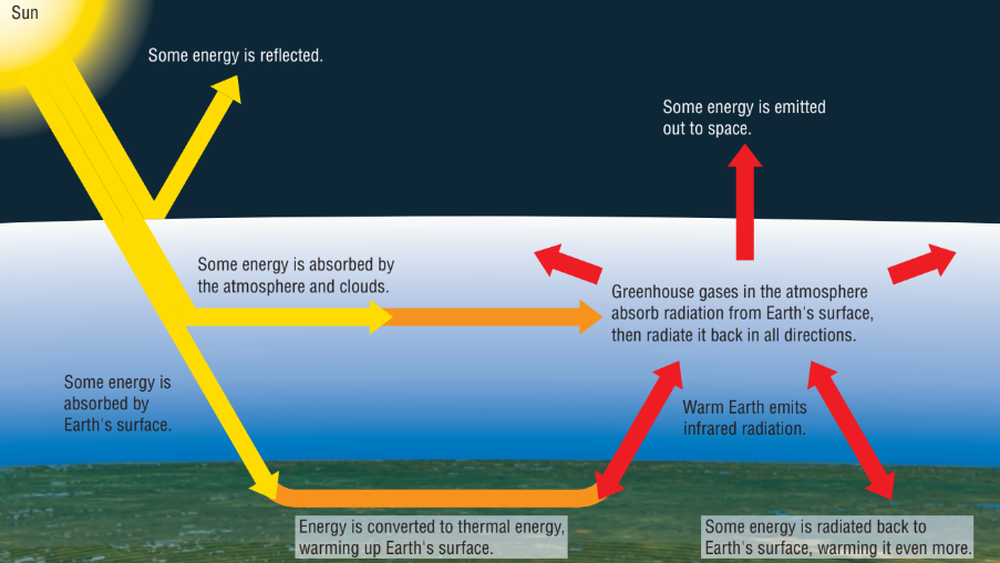 <p>a natural process whereby gases and clouds absorb infrared radiation emitted from Earth’s surface and radiate it, heating the atmosphere and Earth’s surface</p>