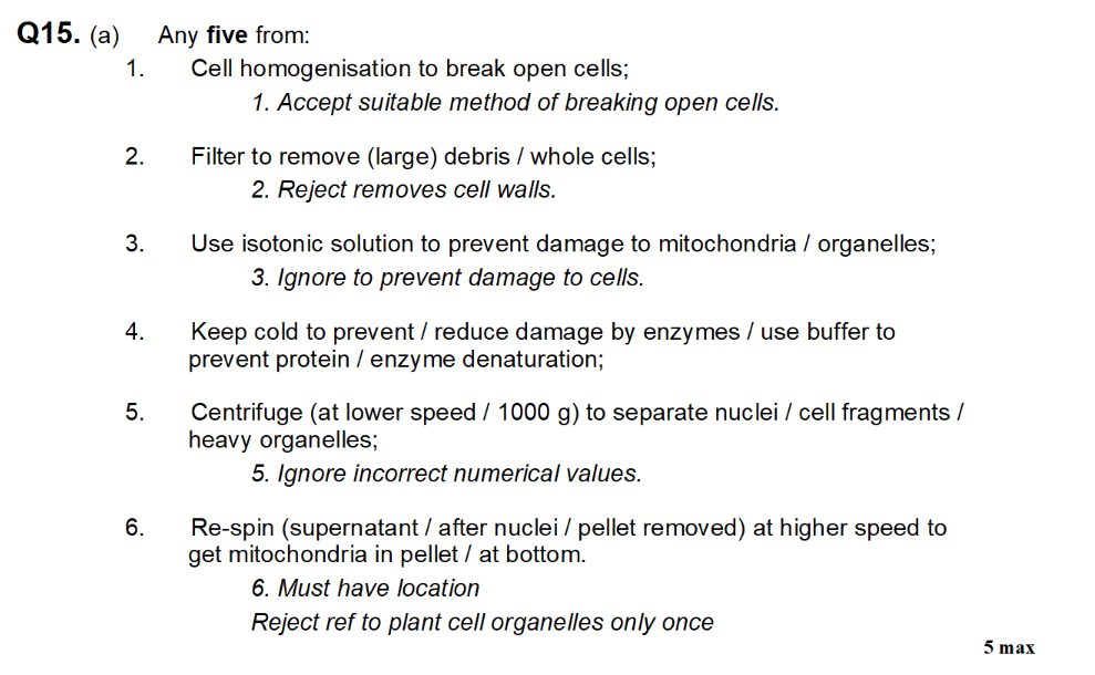 <p>(Question is: Q15. (a) Describe and explain how cell fractionation and ultracentrifugation can be used to isolate mitochondria from a suspension of animal cells. (5))</p><p></p><ol><li><p>Cell homogenisation to break open cells.  </p></li><li><p>Filter to remove large debris. </p></li><li><p>Isotonic to prevent damage to organelles.  </p></li><li><p>Cold to prevent damage by enzymes.</p></li><li><p>Centrifuge to desperate nucleus.</p></li><li><p>Re spin after removing supernatant at higher speed to get mitochondria pellet.</p></li></ol><p></p>
