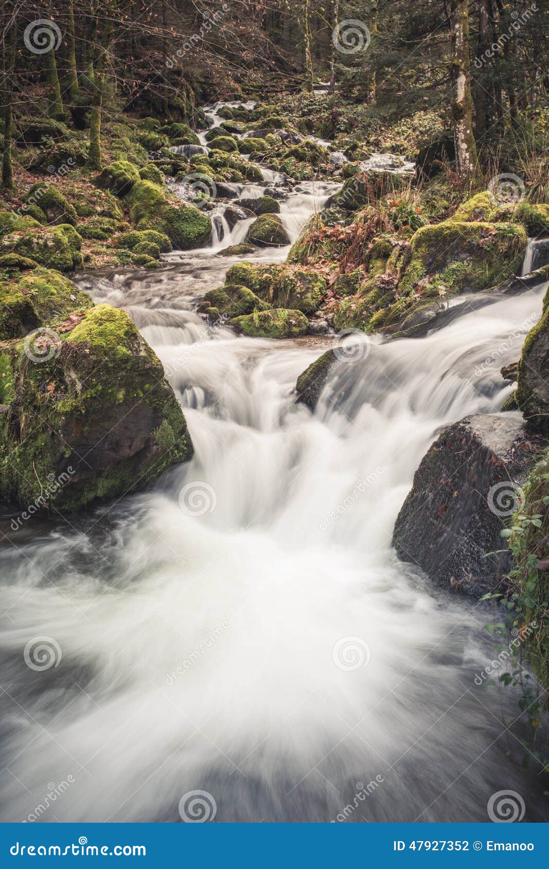 <p><span data-name="ocean" data-type="emoji">🌊</span> <strong>Word:</strong> <em>der Bach</em> is a <strong>noun</strong> (masculine) meaning <strong>“the stream”</strong> or “the small creek.”</p><p><span data-name="high_volume" data-type="emoji">🔊</span> <strong>Pronunciation:</strong> <em>[dɛʁ Bakh]</em> — “Bach” rhymes with “loch” using the throat-clearing <em>ch</em> as in “Bach.”</p><p><span data-name="brain" data-type="emoji">🧠</span> <strong>Memory Trick:</strong> <em>Bach</em> is also the name of a famous composer (Johann Sebastian Bach). Imagine him walking by a <strong>little musical stream</strong> softly humming one of his compositions beside the water—that stream is <em>der Bach</em>.</p><p><span data-name="receipt" data-type="emoji">🧾</span> <strong>In Context:</strong></p><ol><li><p><em>„Am Nachmittag rastet Karl an einem kleinen Bach.“</em> — “In the afternoon, Karl rests by a small creek (stream).”</p></li><li><p><em>„Das Rauschen des Bachs beruhigt mich.“</em> — “The babbling of the stream calms me.”</p></li></ol><p></p>