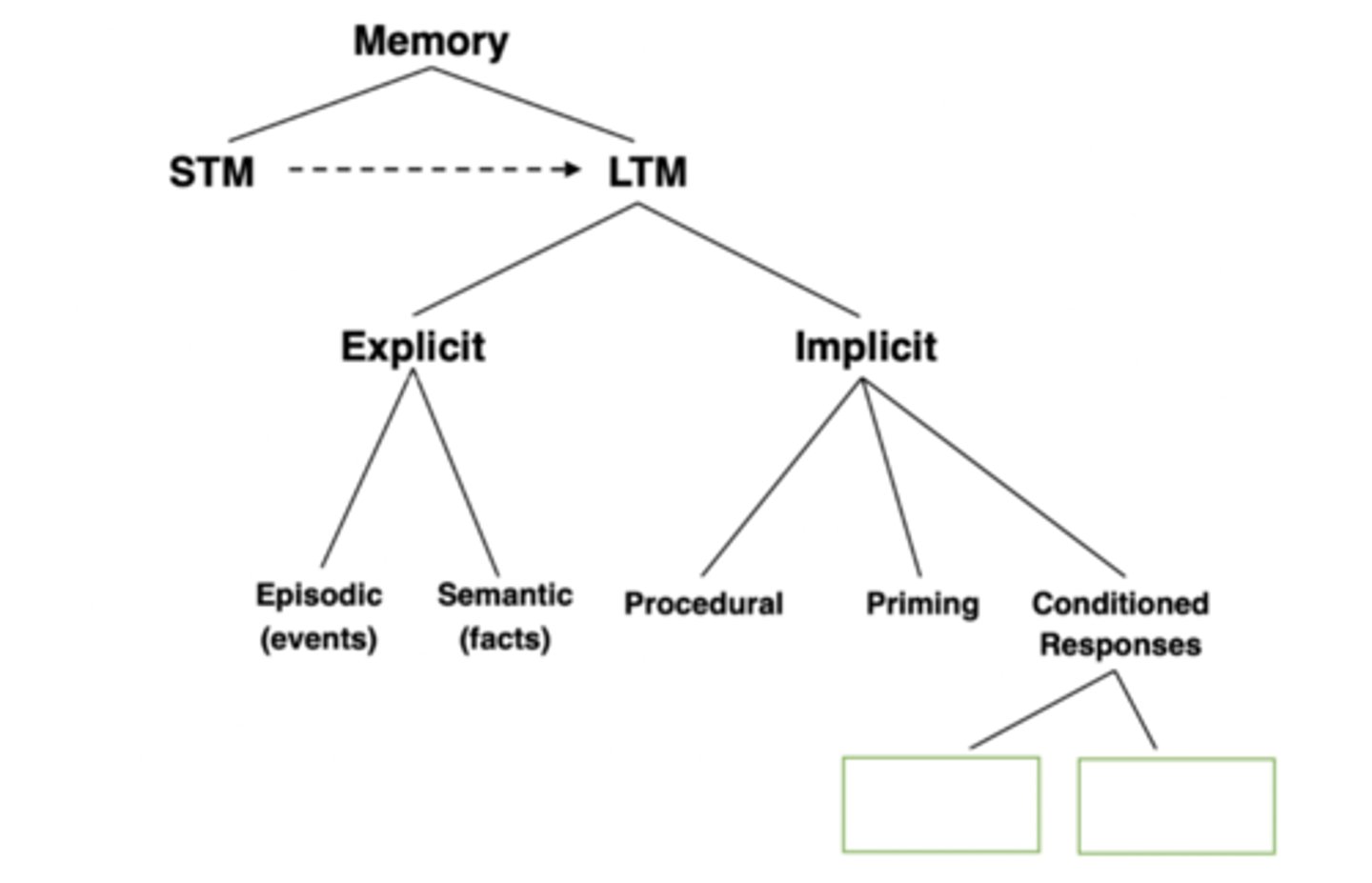 <p>1. STM<br>2. LTM<br>- A. Explicit<br> - i) Episodic (events)<br> - ii) Semantic (facts)<br>- B. Implicit <br> - i) Procedural<br> - ii) Priming<br> - iii) Conditional Responses<br> - a) Operant<br> - b) Classical</p>