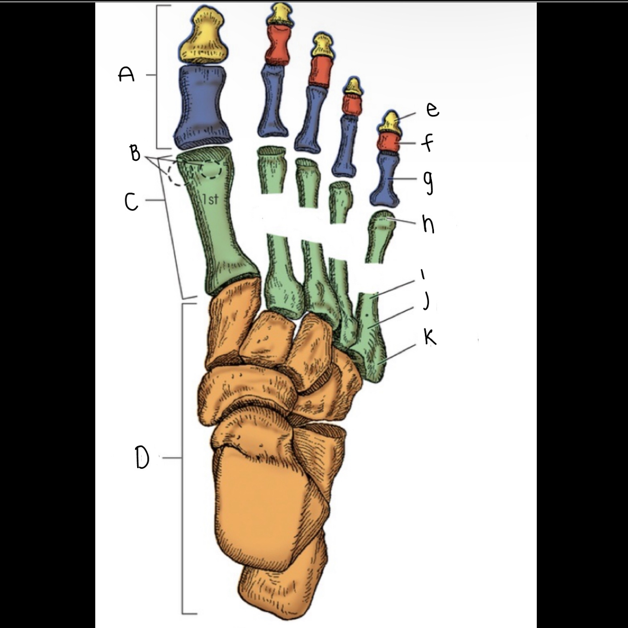 <p>What is letter E?</p>